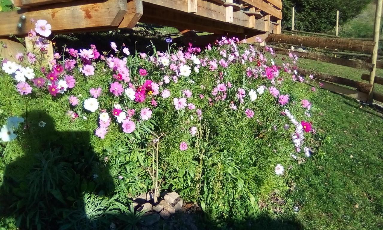 Auberge De La Grange Spa & Sauna Plainfaing Eksteriør bilde