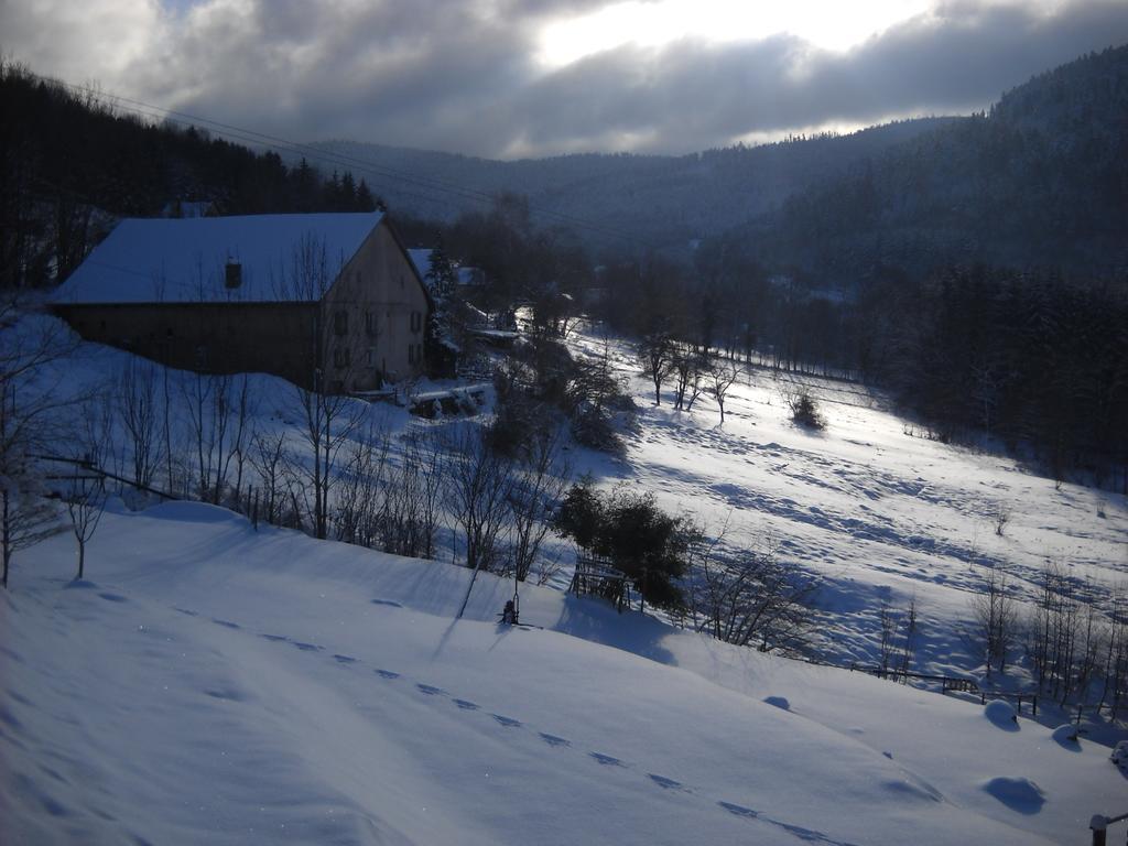 Auberge De La Grange Spa & Sauna Plainfaing Eksteriør bilde
