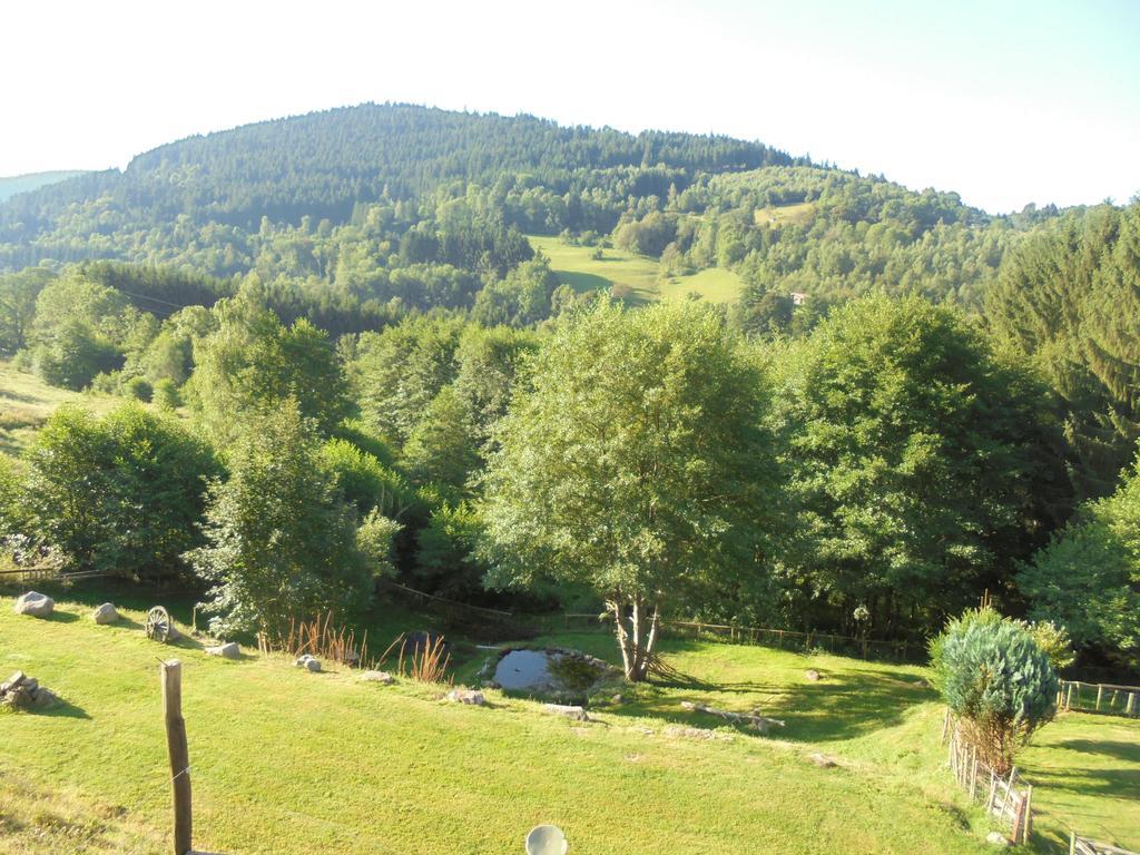 Auberge De La Grange Spa & Sauna Plainfaing Eksteriør bilde