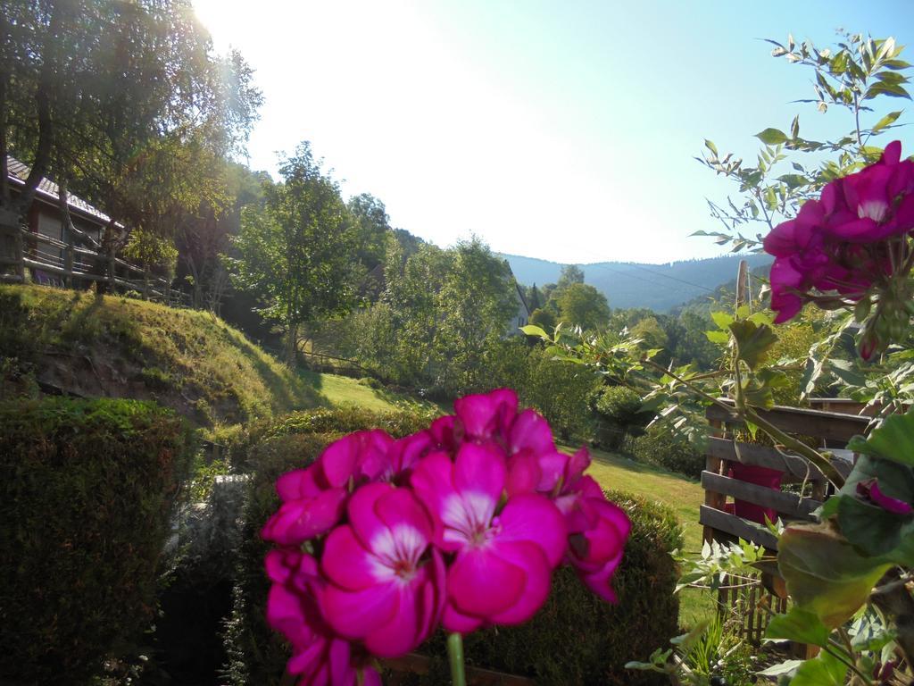 Auberge De La Grange Spa & Sauna Plainfaing Eksteriør bilde